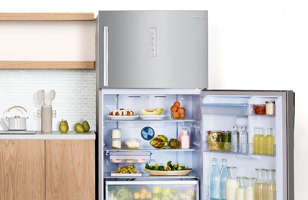 Какие холодильники лучше по качеству. Холодильник Samsung Twin Cooling Plus. Twin Cooling на холодильнике Samsung. Samsung Twins холодильник. Холодильник самсунг ноу Фрост.
